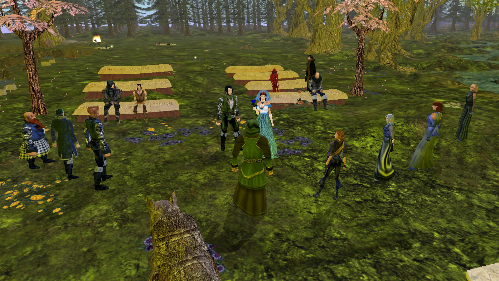 Fehriel and Talias wedding.