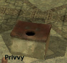 Privvy