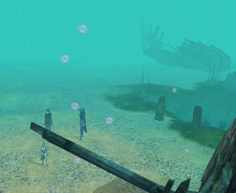 Waiting for Dolphins