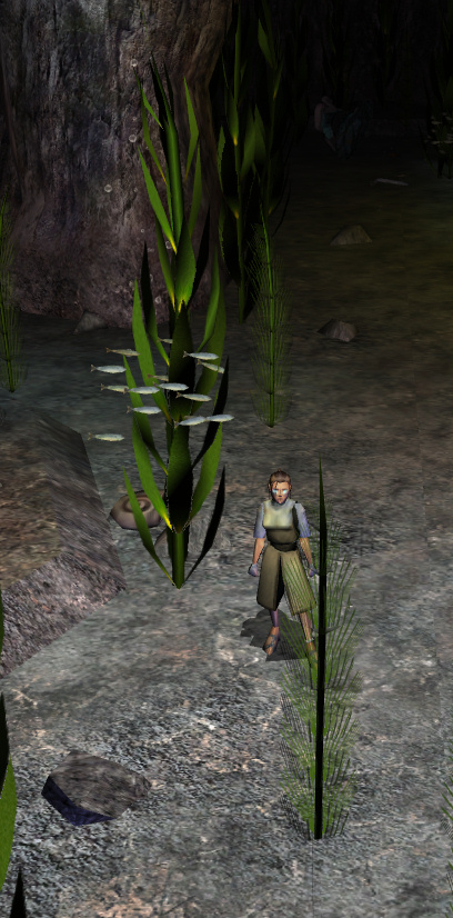 Along the Sea Bottom