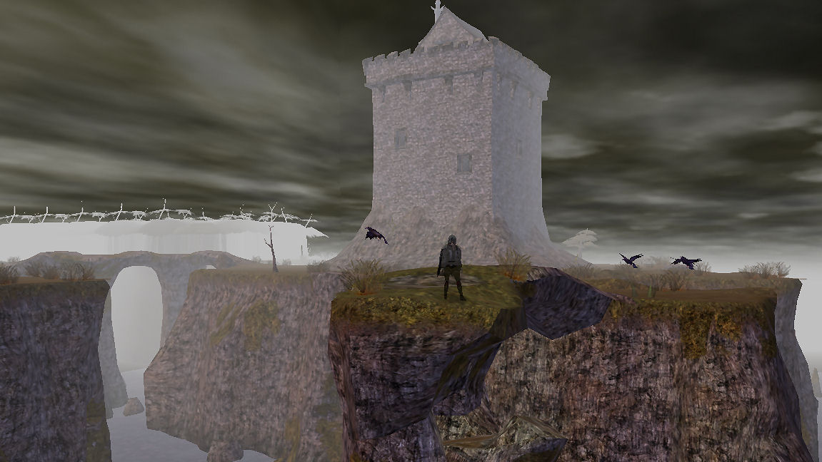 Seaside Contemplations