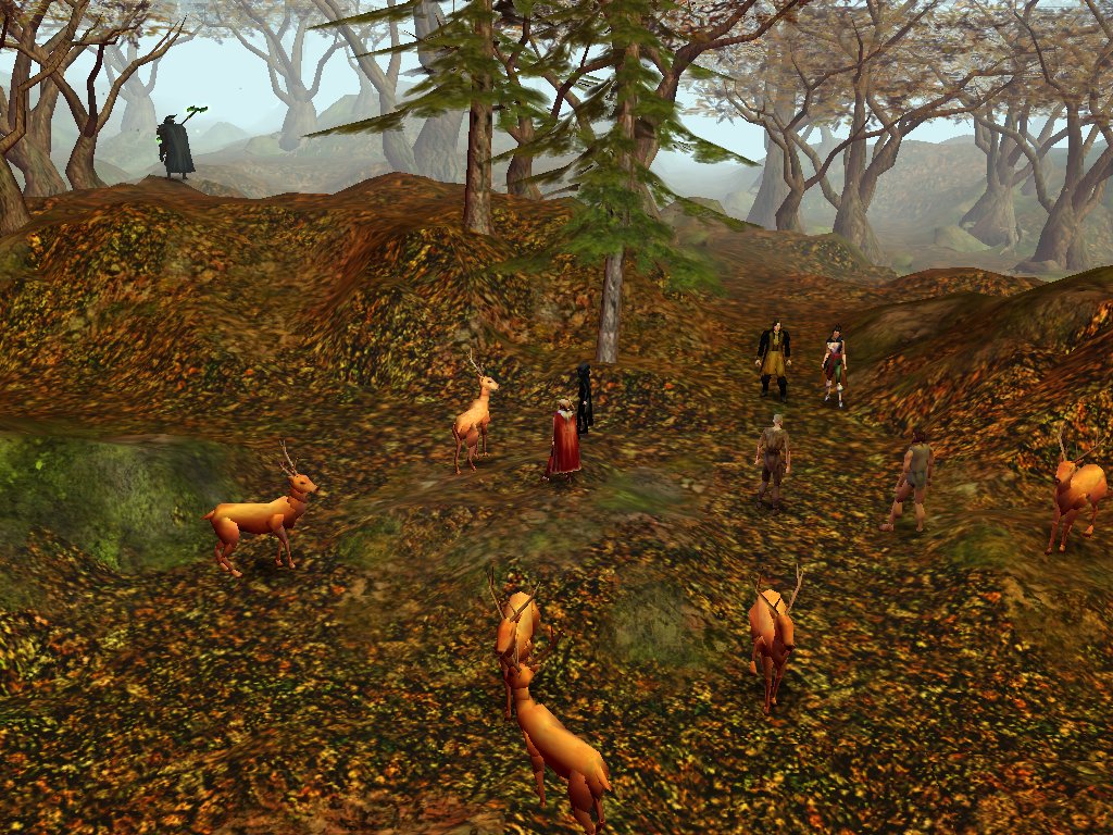 Getting friendly with the wildlife.