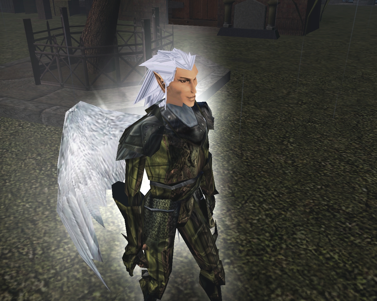 Hawk - The Changeling