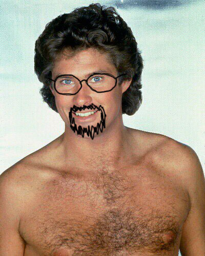 Darkstorme - The Hoff, one and the same person?