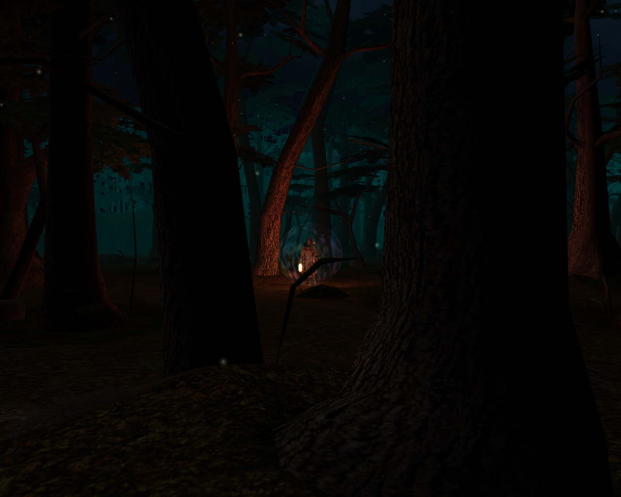 An other walk in the forest