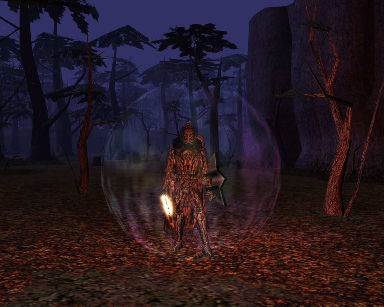 And again in a forest