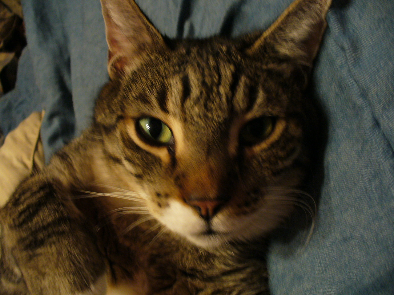 I'm fine here on your bed...