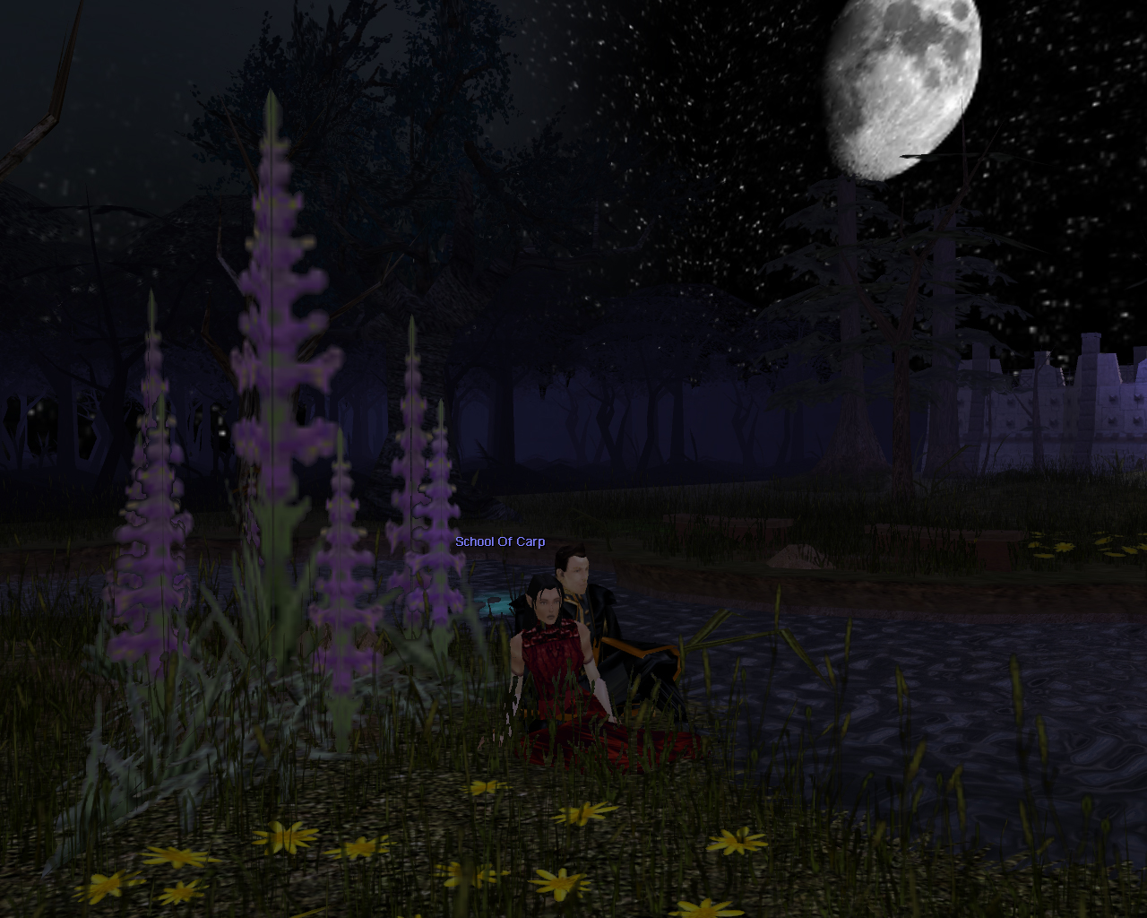 Their last night together