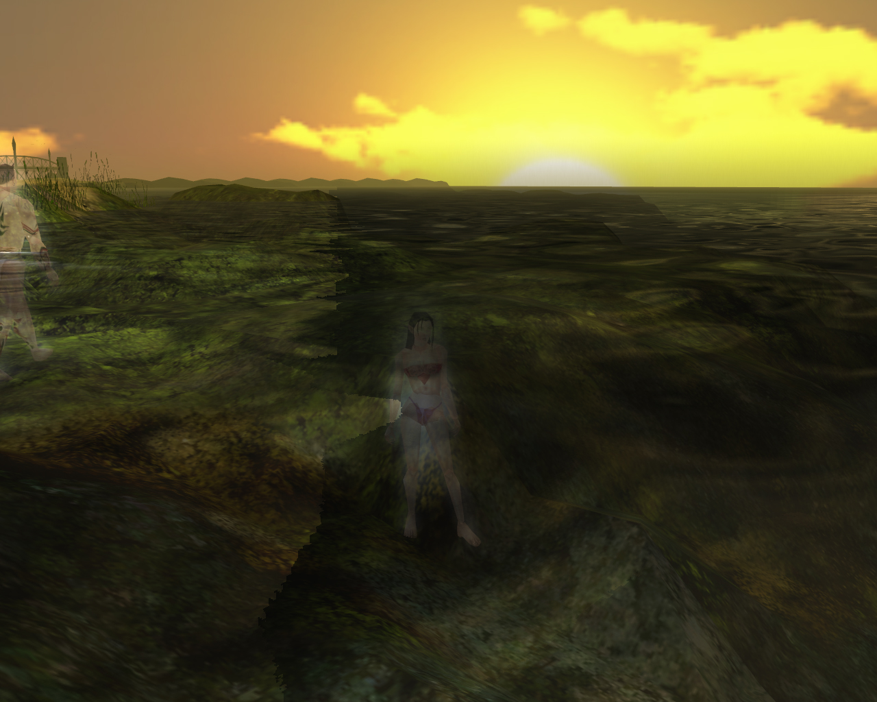 underwater_with_a_great_sunset