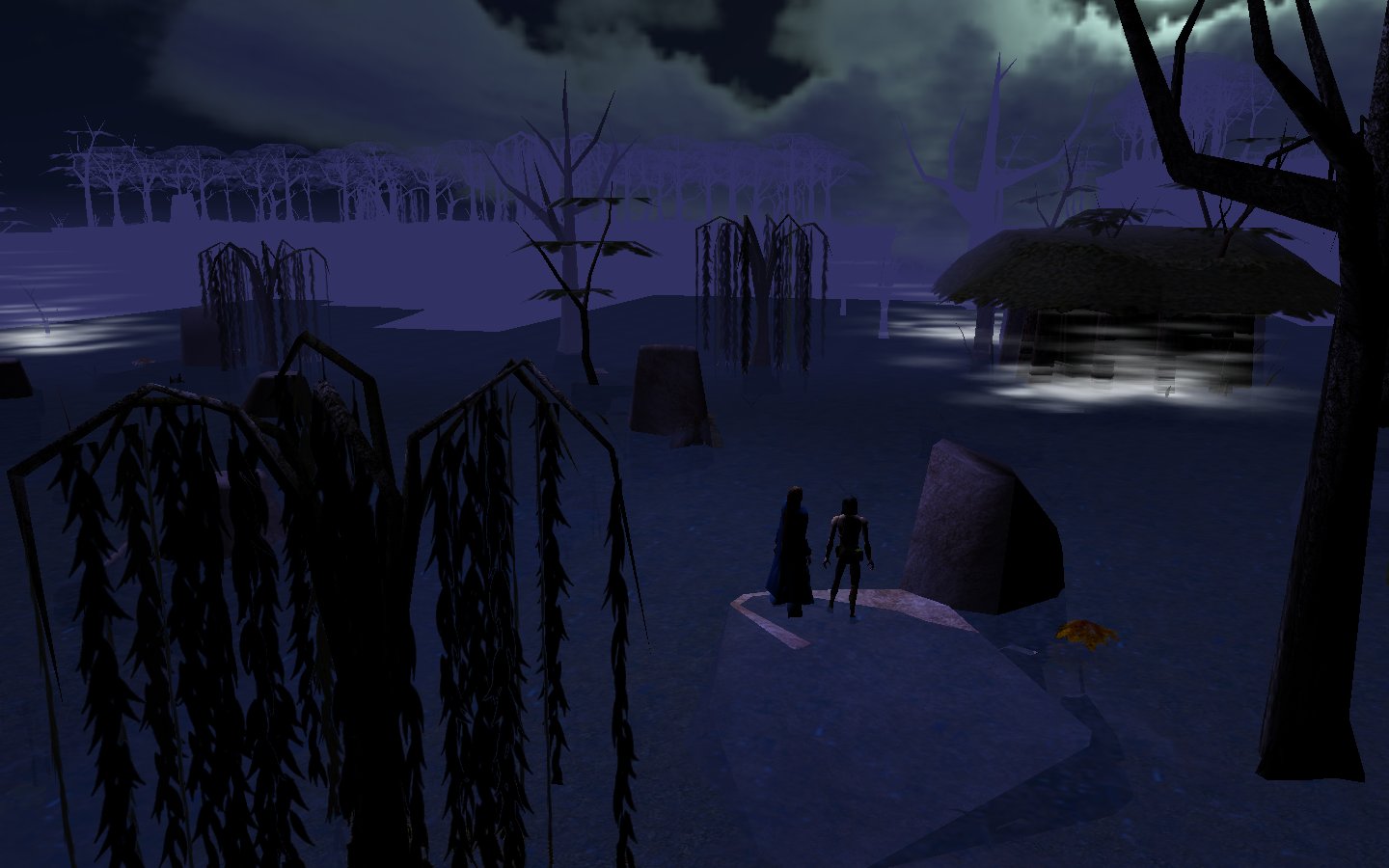 Khuren and Sala looking out over the bog