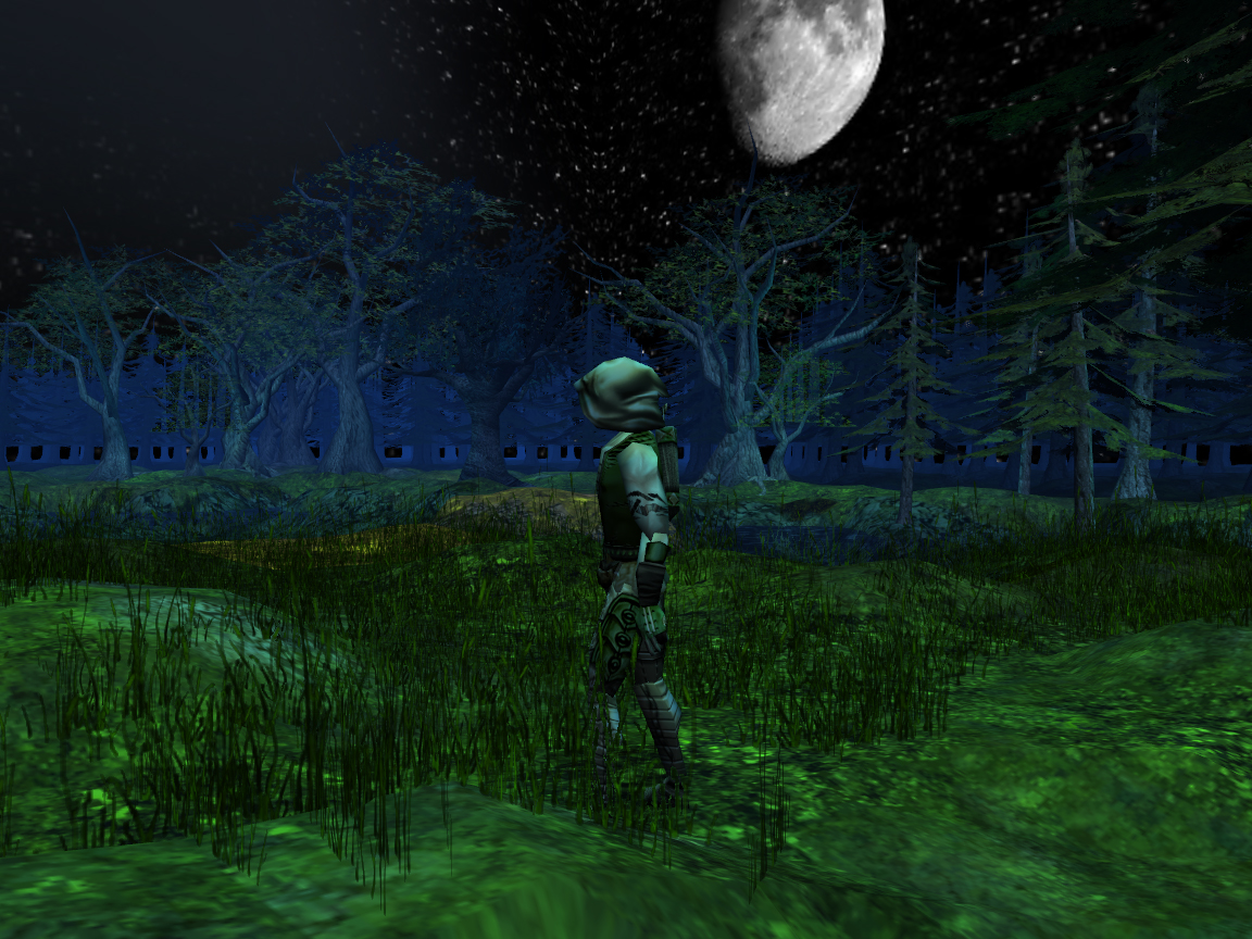 A walk under the moon