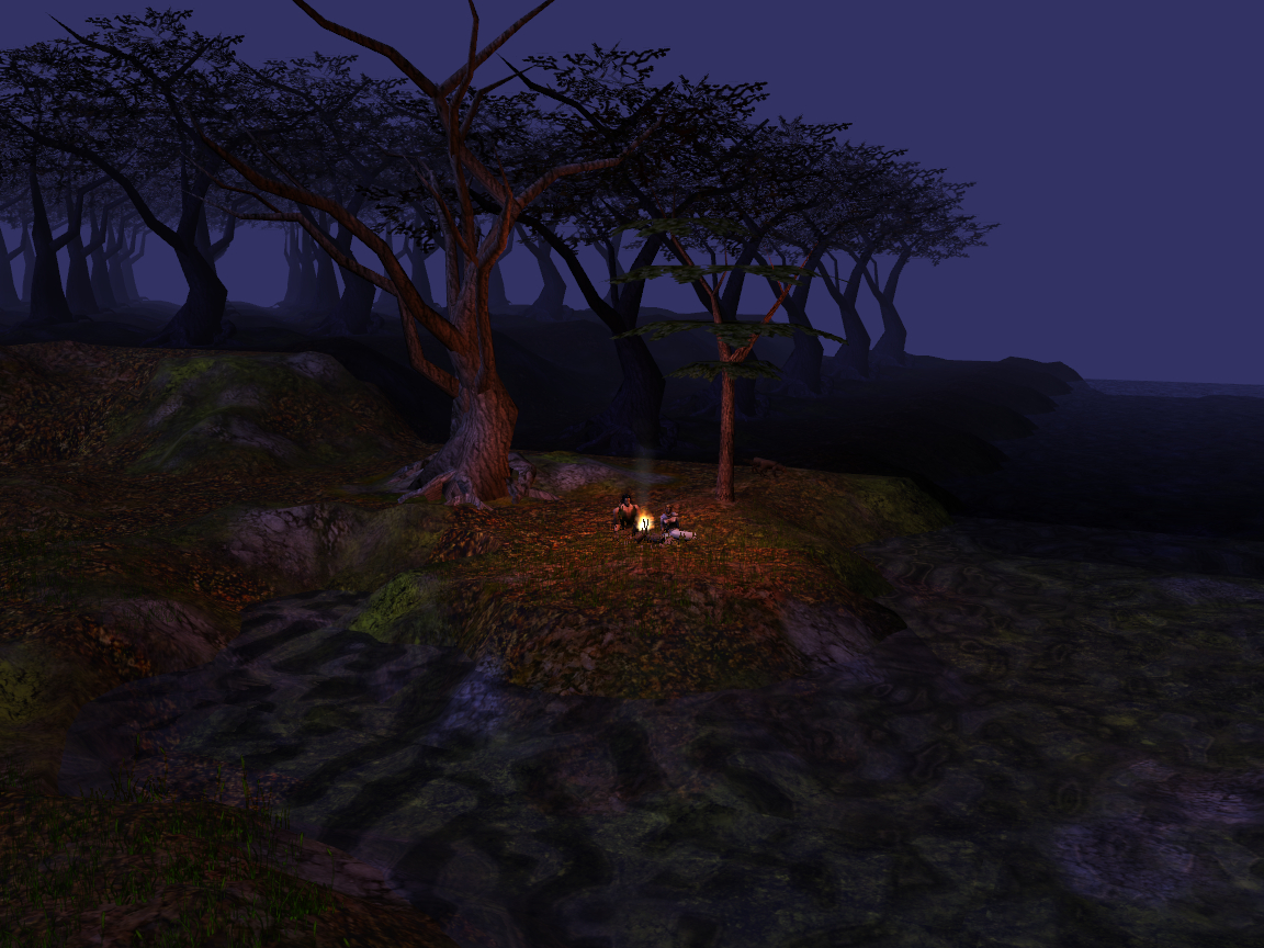 At_the_fall_forest