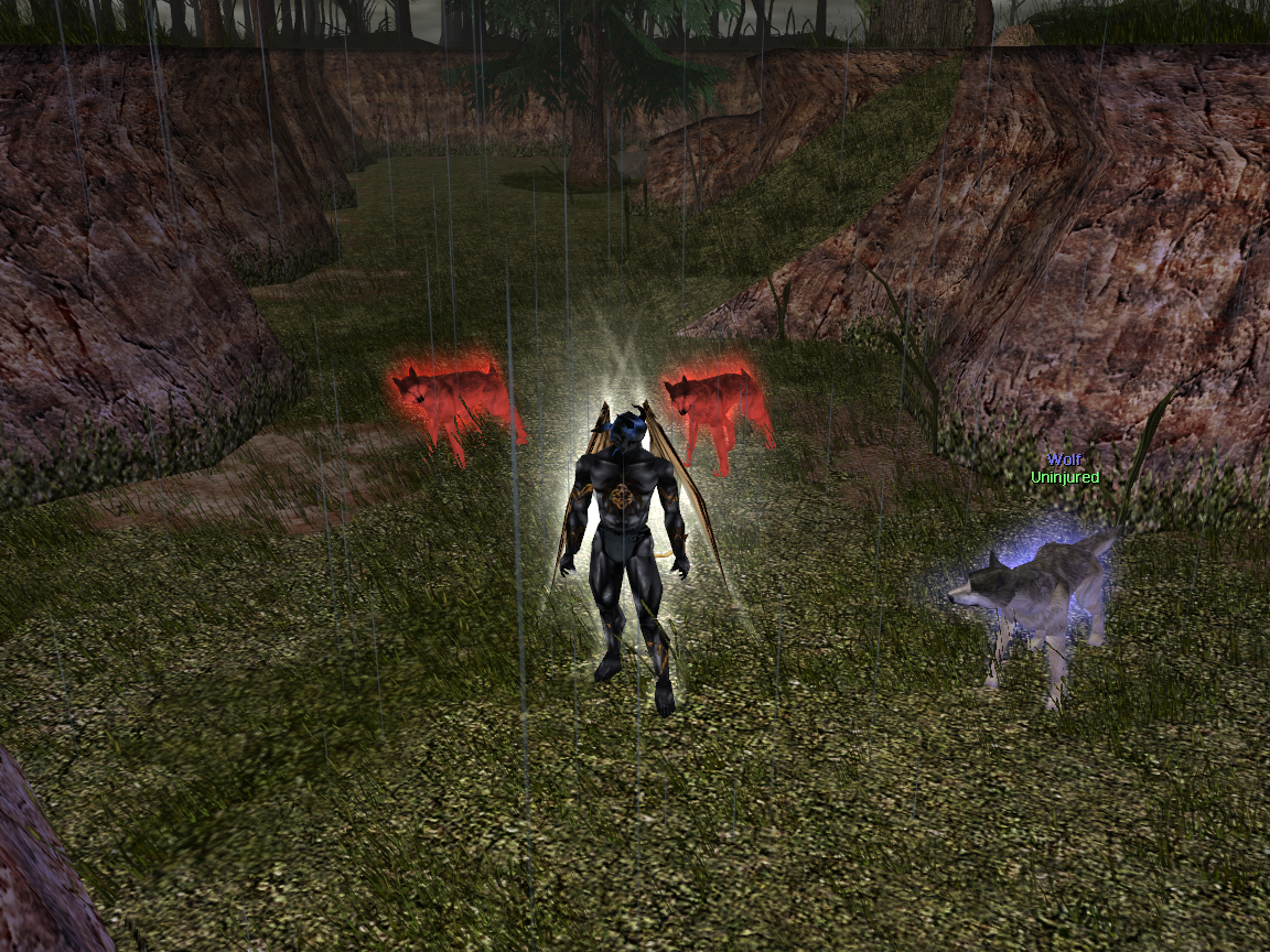 The_wolves_looks_oddly_at_him