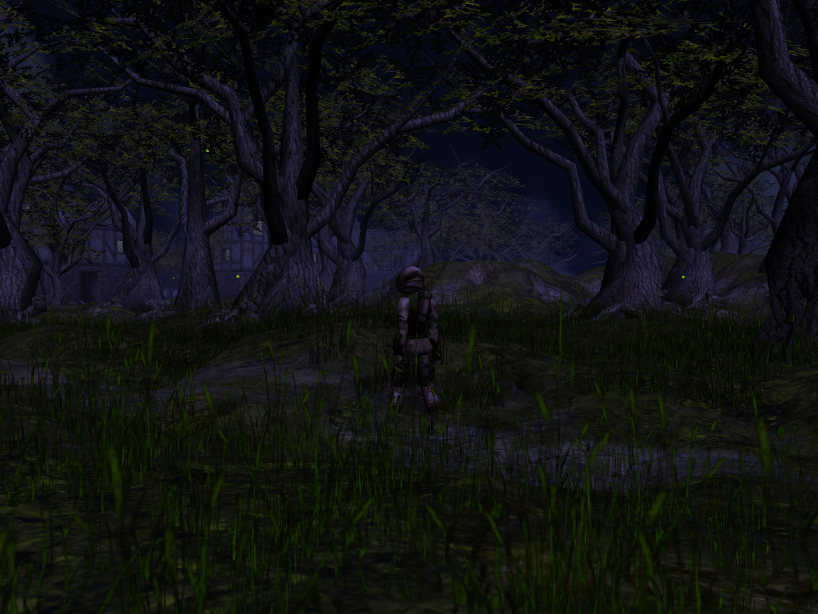 A stroll in the forest