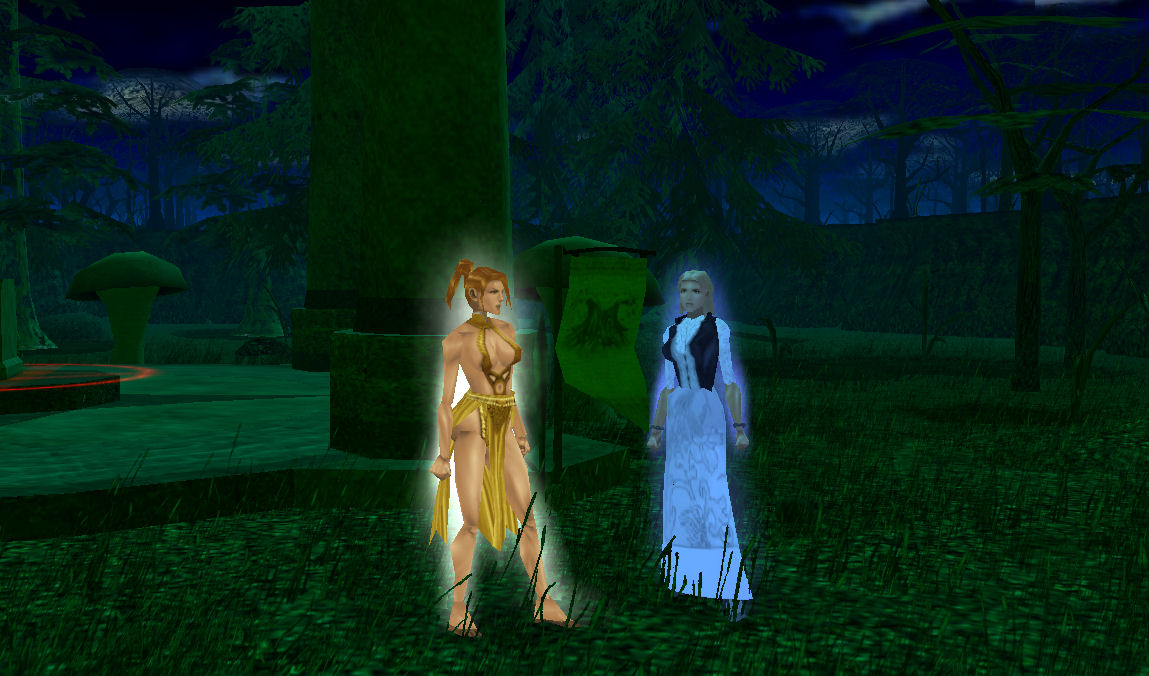 Annwyl and Ygraine find new flag