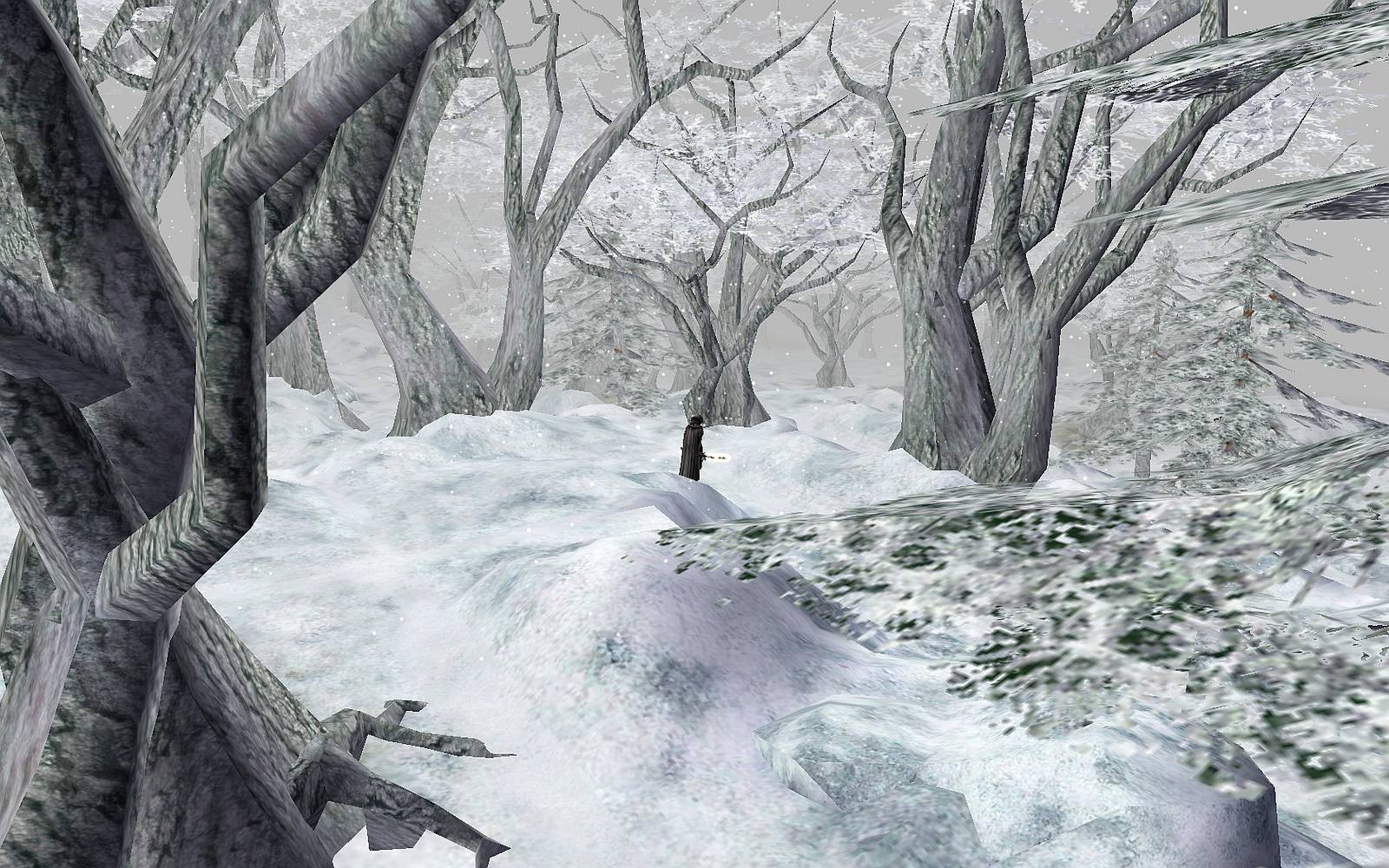 Images of my Final Update