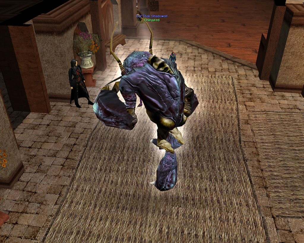 Scaring Kinai as an Umber Hulk - Ooogada boogda on transition.