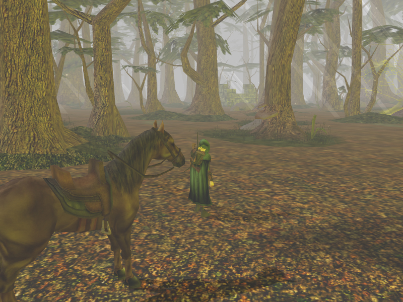 Traveling through the woods