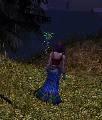 Have you Seen This Halfling?