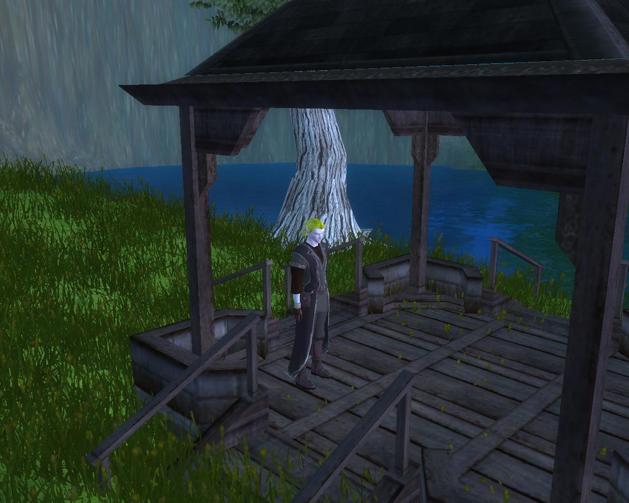 Random NWN2 screenies from online play 4