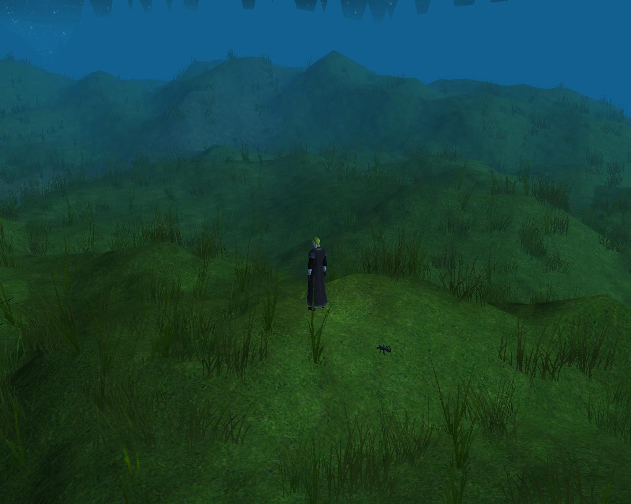 Random NWN2 screenies from online play 5