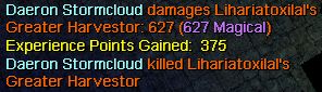 Mages can do damage as well :p