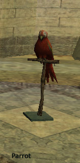 Parrot