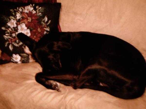 Ali See Also Peaceful and/or My Camera Sucks