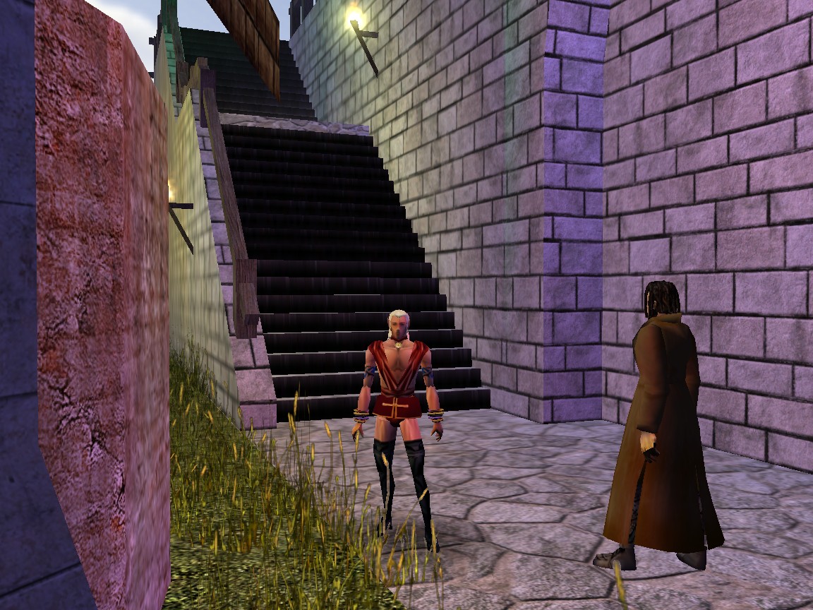 The Result of a Successful Persuade Check...