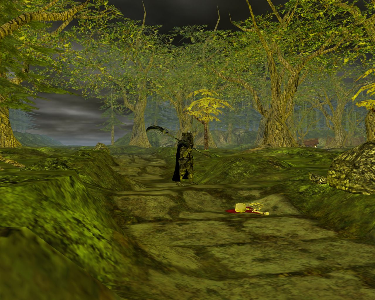 Death in the beautiful forest