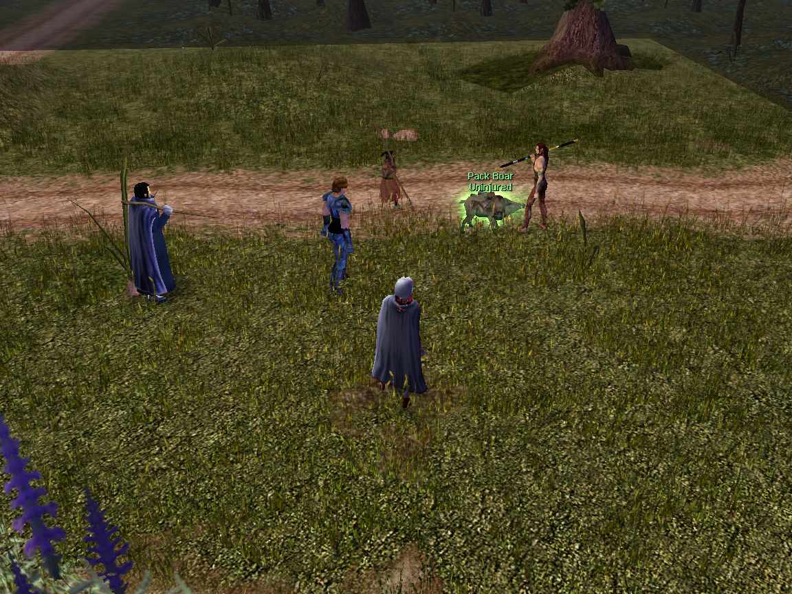 The rescue of the pack boar