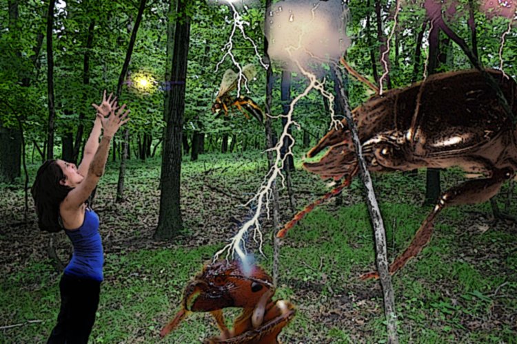 Pallena getting the bugs out