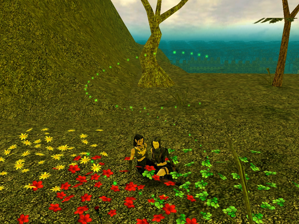 Accy and Kinny. Romance and Flowers