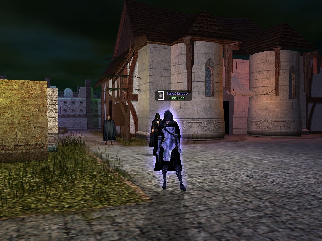 This is your nwn on acid