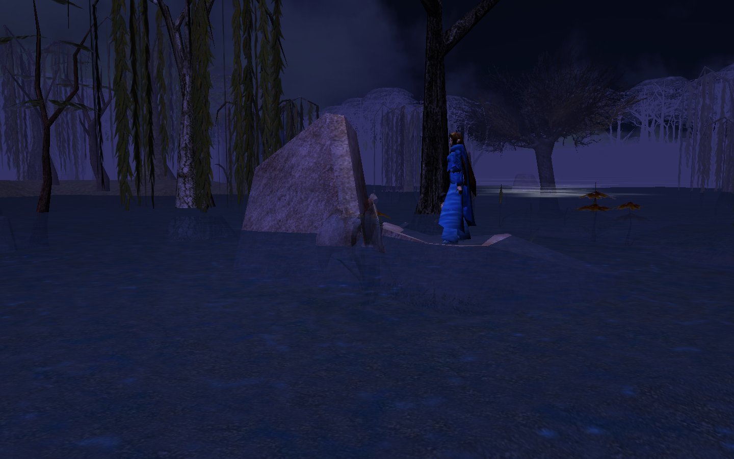 Sala standing on a rocky rise in the bog