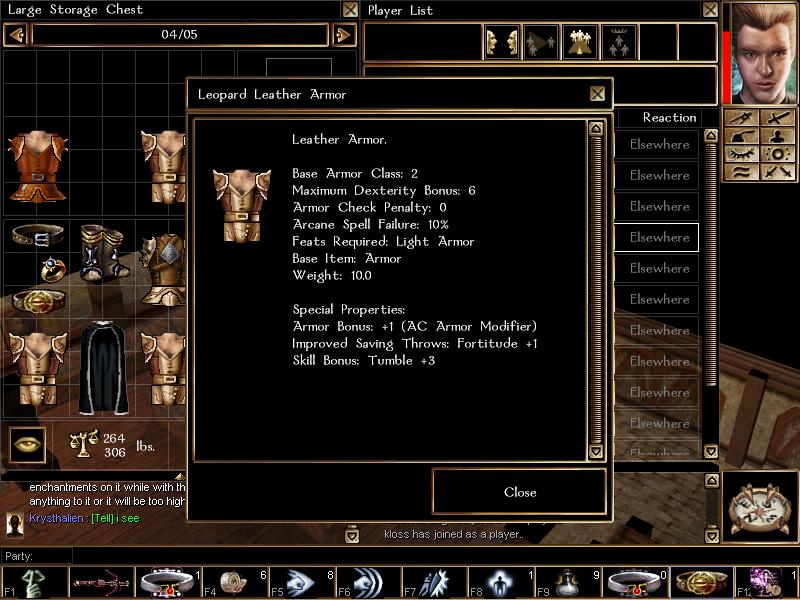 Leopard Leather Armor