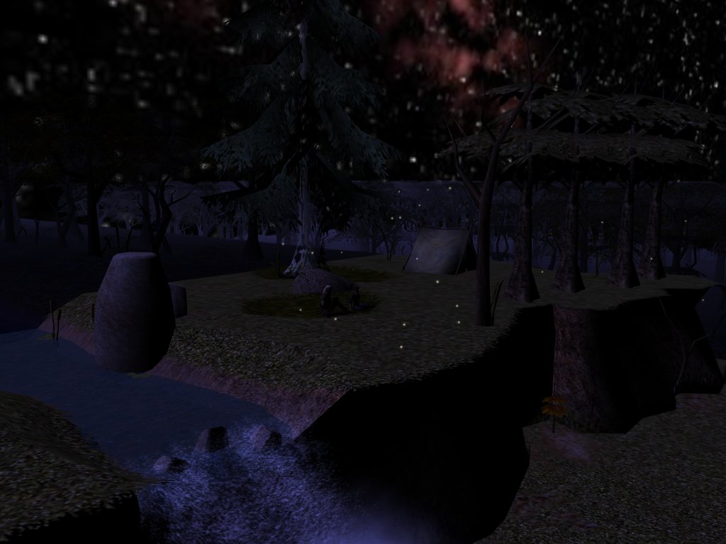 Special Night Under the Stars