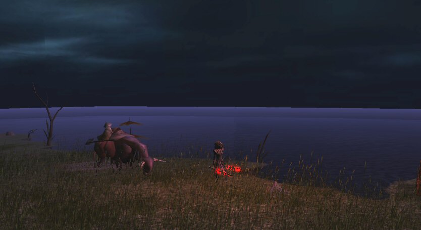 Nightime by the lake