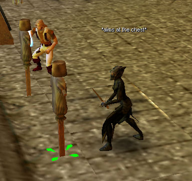 Training to be a fighter