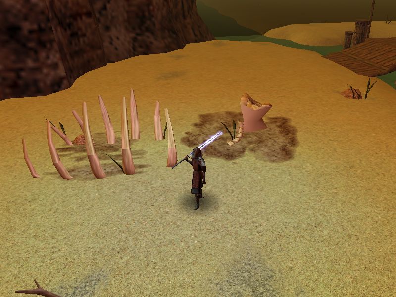 Tralek ponders his lesson with Ben in the desert